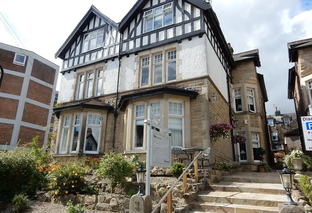Springdale Guest House-1